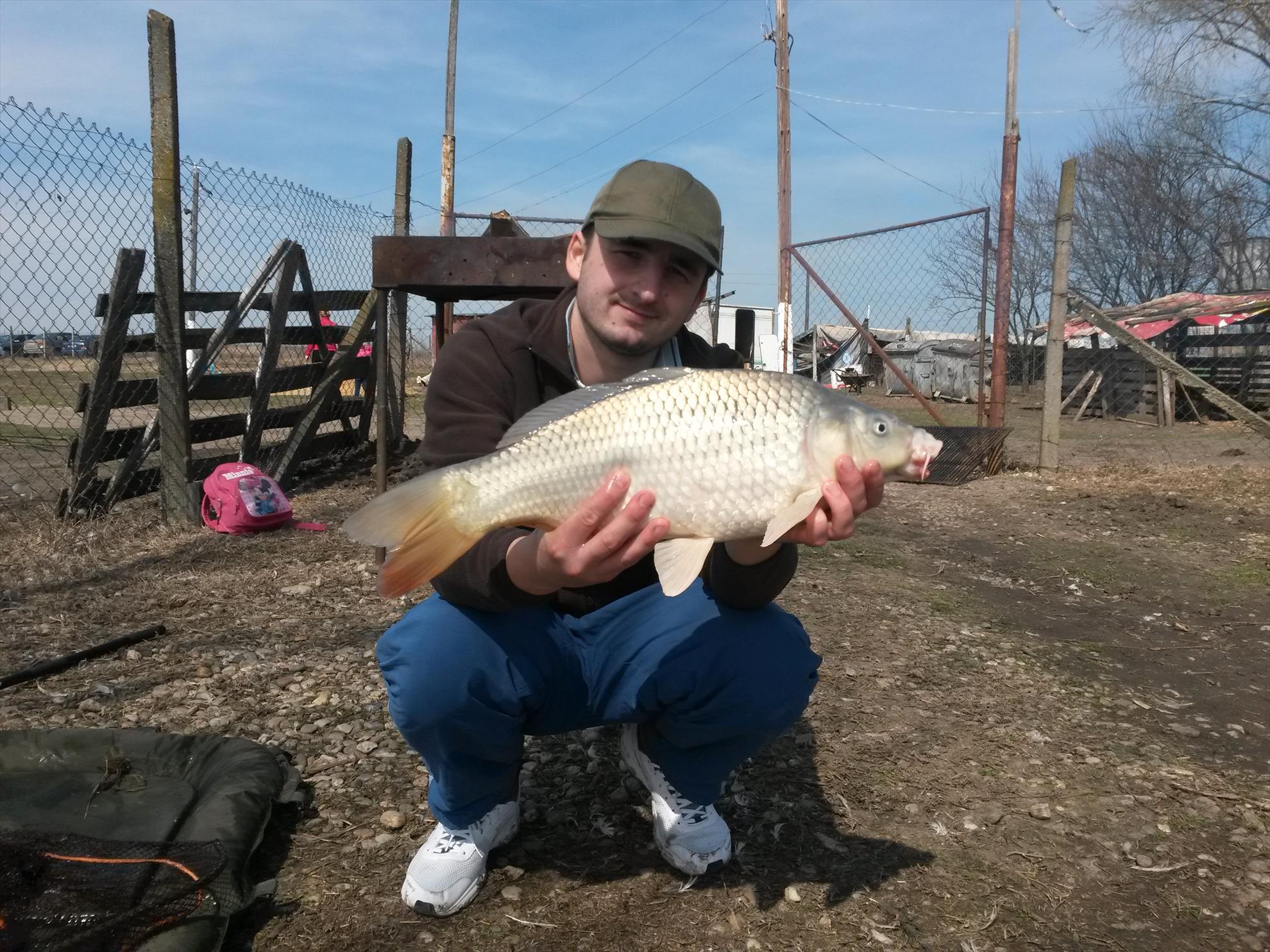 Greaca Cercani 22 mar. - 20150322132314.jpg